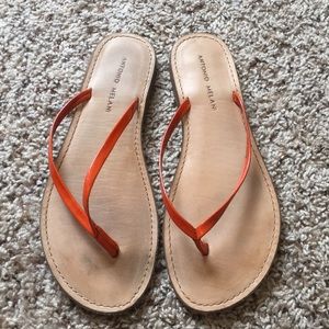 Antonio Melani flip flops